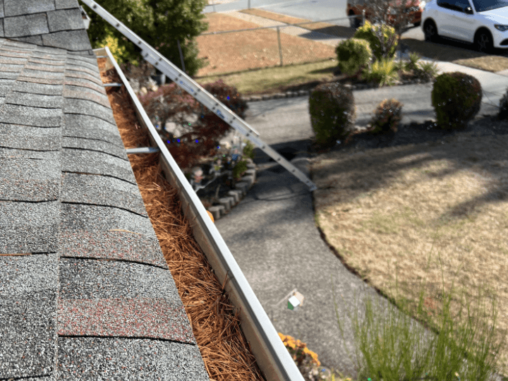 Gutter Cleaning